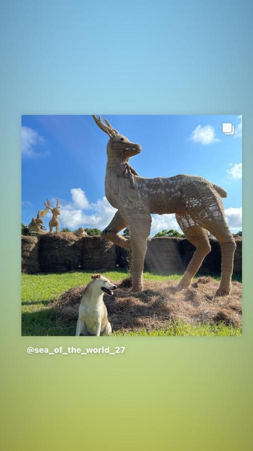 海中天旅店 Sea Of The World B&B Kenting Buitenkant foto